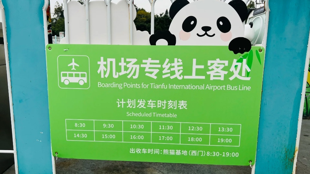 A green information sign with a cute cartoon panda illustration at the Chengdu Research Base of Giant Panda Breeding. The sign displays the "Boarding Points for Tianfu International Airport Bus Line" and the scheduled timetable, listing departure times from 8:30 to 19:00 from the West Gate.