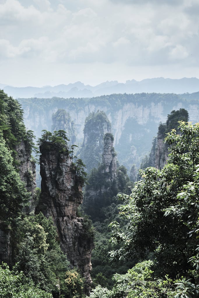Breathtaking view of Zhangjiajie's towering pillars and lush forests on a summer day.