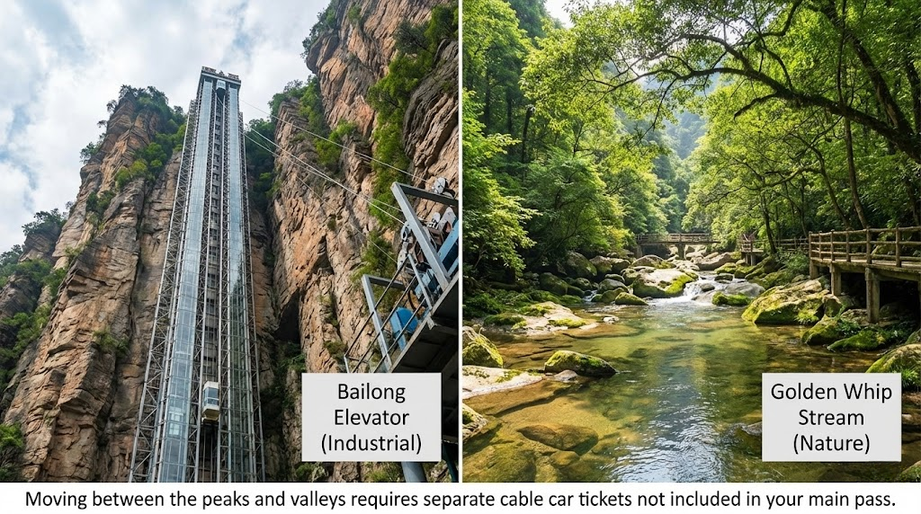 A high-resolution split-screen photograph comparing two distinct areas of Zhangjiajie National Forest Park. The left half shows the massive industrial structure of the Bailong Elevator ascending the face of a sheer sandstone cliff tower. The right half shows the tranquil, crystal-clear waters of the Golden Whip Stream flowing peacefully through a lush, forested valley floor.