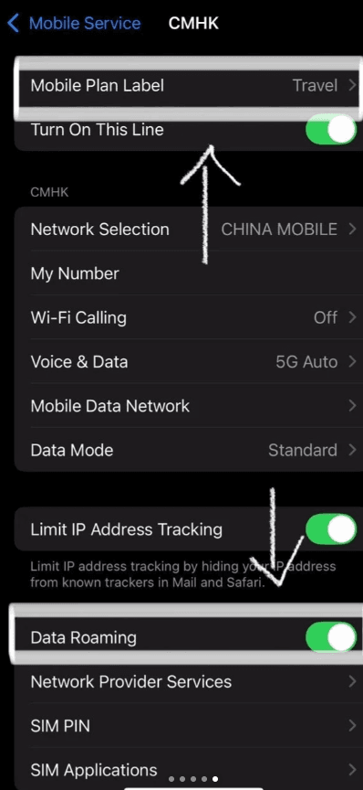 iPhone Cellular settings with China travel eSIM line enabled and data roaming turned on